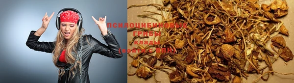 каннабис Арсеньев