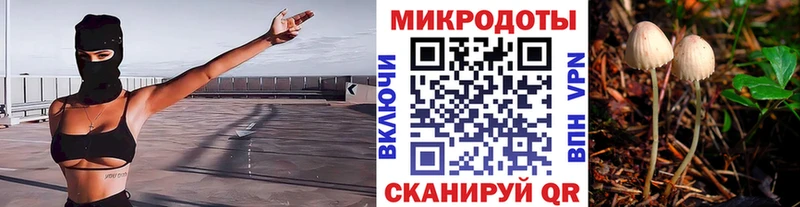 Галлюциногенные грибы GOLDEN TEACHER  Чадан 